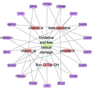 Frontiers Elucidation Of The Potential Antioxidant Compound And